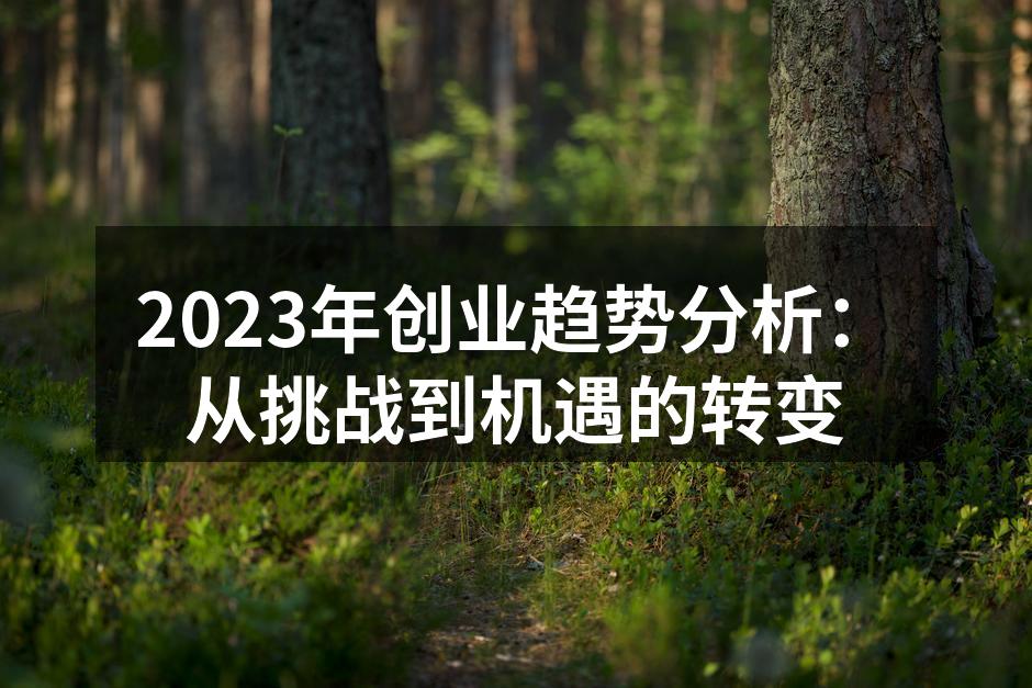 2023年创业趋势分析：从挑战到机遇的转变